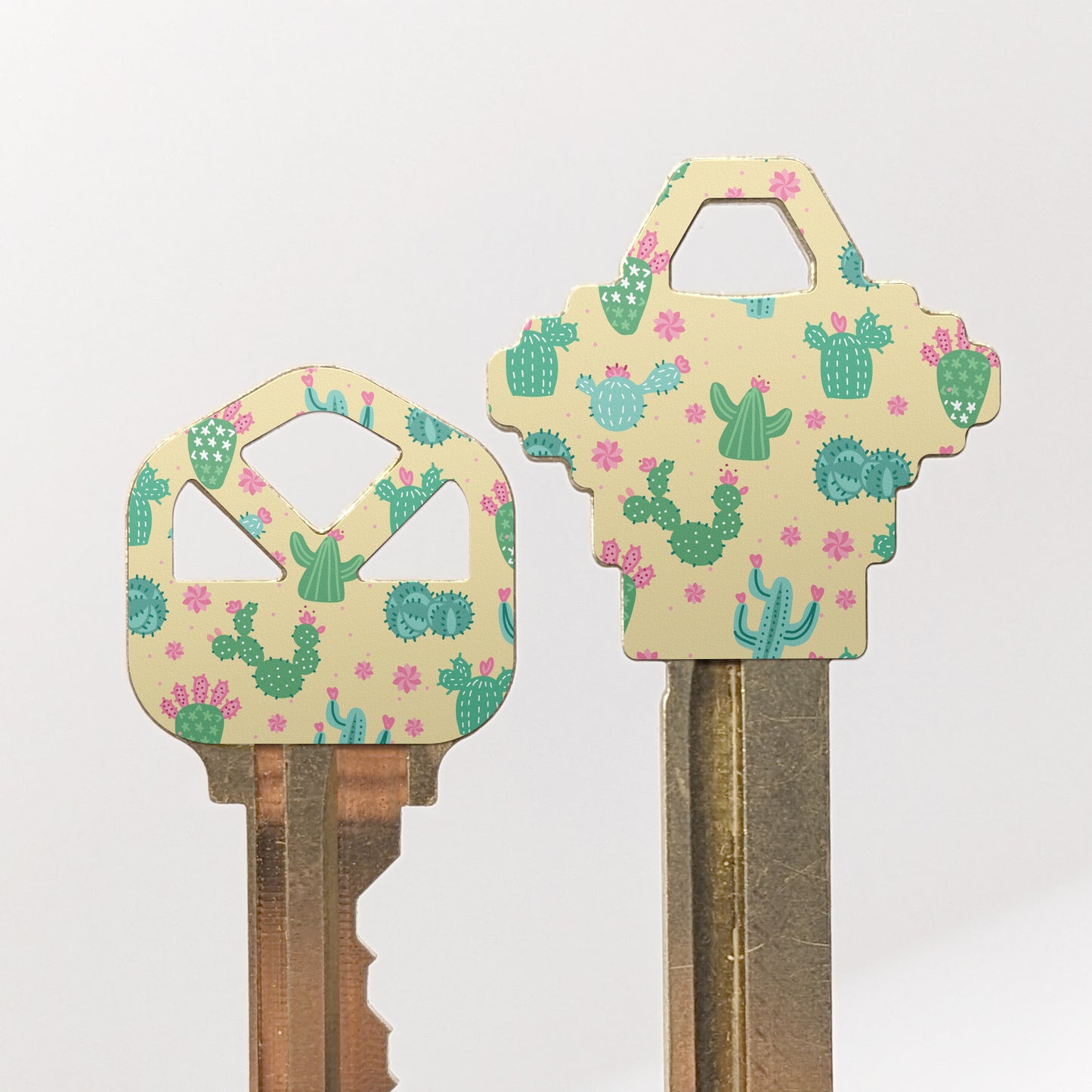 Cactus tecnicolor